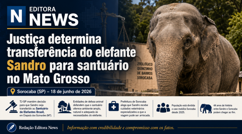 Justiça determina transferência do elefante Sandro para santuário no Mato Grosso